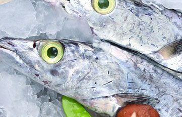 冻带鱼进口报关当苦衷项？