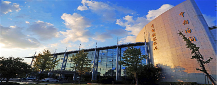 货物进口报关中低报价值违规吗？问鼎国际报关行助您解惑