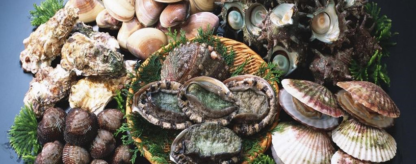 海鲜怎么进口报关？有哪些当苦衷项？