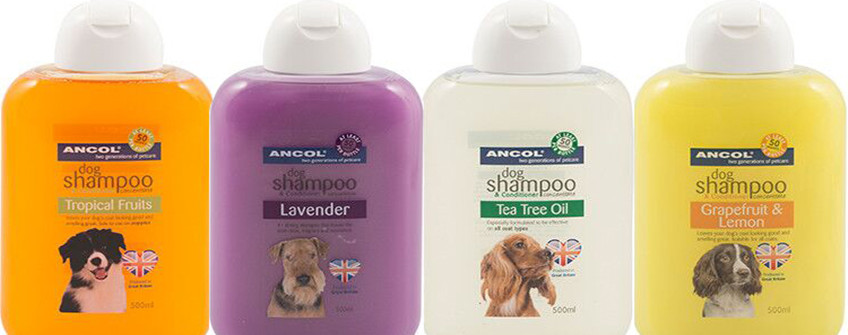 深圳进口报关：宠物洗澡露清关用度有哪些？